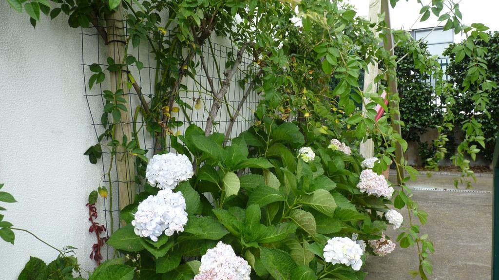 Azores Holidays House -B&B - Suites - Self Check-In Keyboard Ponta Delgada Exterior foto