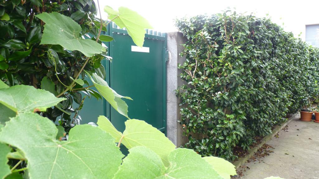 Azores Holidays House -B&B - Suites - Self Check-In Keyboard Ponta Delgada Exterior foto